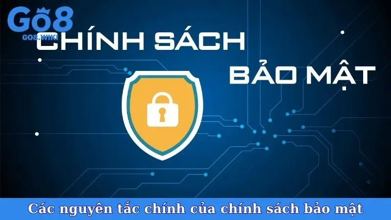 Các nguyên tắc chính của chính sách bảo mật