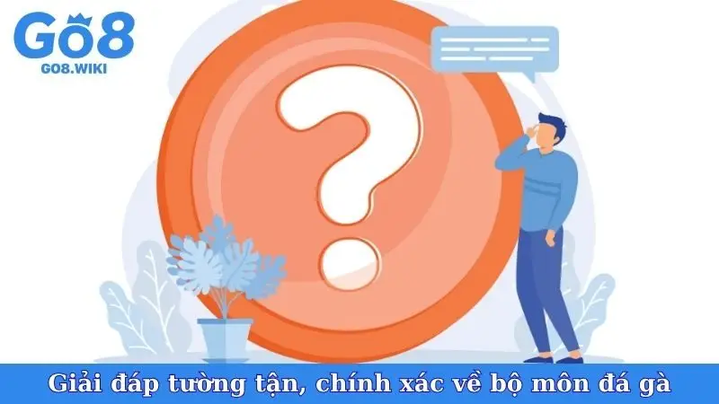 Giải đáp tường tận, chính xác về bộ môn đá gà