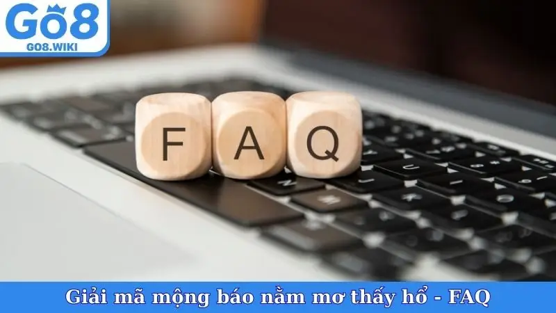 Giải mã mộng báo nằm mơ thấy hổ - FAQ