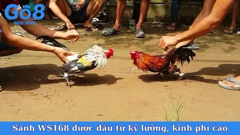 Sảnh WS168 được đầu tư kỹ lưỡng, kinh phí cao