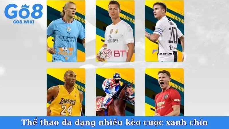 Thể thao đa dạng nhiều kèo cược xanh chín