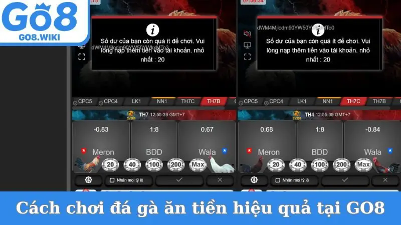 Cách chơi đá gà ăn tiền hiệu quả tại GO8