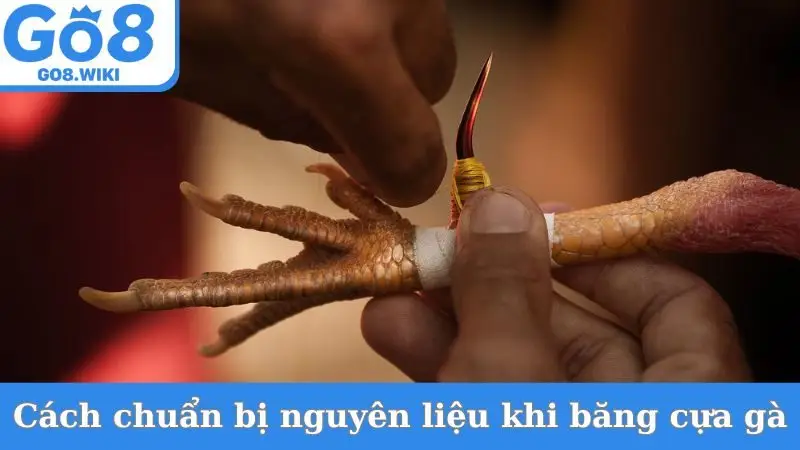 Cách chuẩn bị nguyên liệu khi băng cựa gà