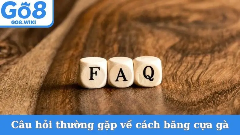 Câu hỏi thường gặp về cách băng cựa gà