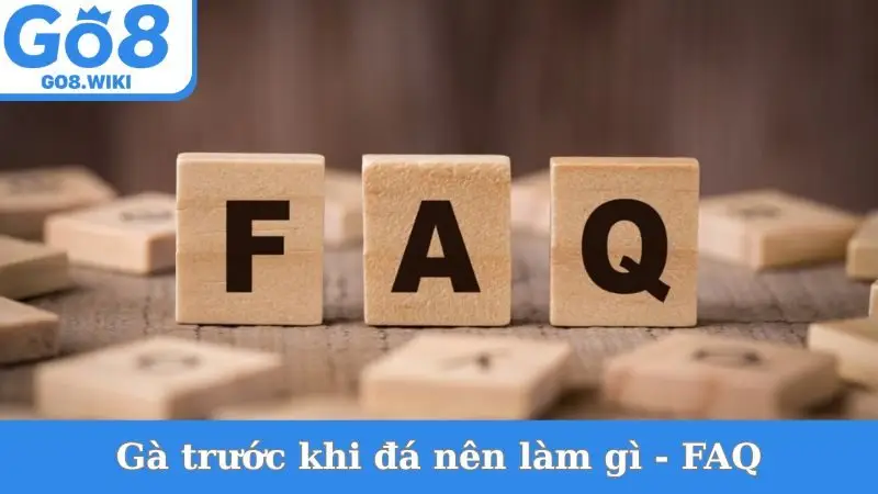 Gà trước khi đá nên làm gì - FAQ